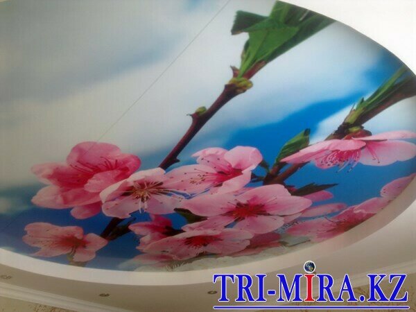 Натяжной потолок TRI MIRA